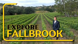 Explore Fallbrook [upl. by Halullat20]