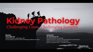 Kidney Pathology Challenging Cases Challenging Samples [upl. by Annahsit434]