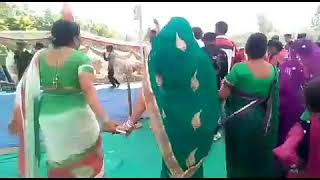 आदिवासी गीत ll जानिए नाहो रखे भोमरा उडाडू हूँ जानिये ll Adivasi song l [upl. by Ennaecarg]