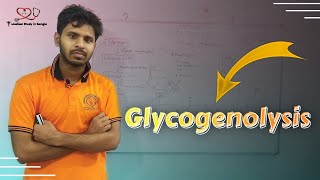 Overview of Glycogenolysis in bangla glycogen breakdown [upl. by Annaliese553]