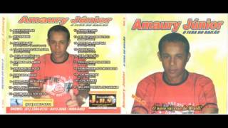 Cd completo Amaury Junior vol 08 [upl. by Anyahc128]