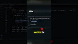 Understanding Memory Management in DLLs viralvideo viralshorts shorts shortsvideo shortsfeed [upl. by Trini]