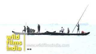 Boatmen pull the fishing nets  Kerala [upl. by Allehcram379]