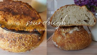 Kruh od kiselog tijesta  jednostavni sourdough kruh za početnike [upl. by Sturdivant]