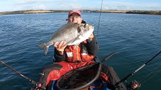 GILTHEAD BREAM FISHING  FISH OF A LIFETIME [upl. by Melicent]