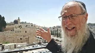 Rabbi Ephraim Kirshenbaum Head Bet Shemesh Rabbi by the Kotel about Bet Hamikdash [upl. by Tila]