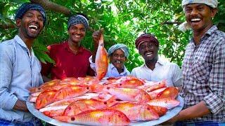 INDIAN GOAT FISH FRY  20 Kg Fish Fry with Flavoured Oil  Nagarai Meen Poriyal  Cooking In Village [upl. by Aldon]