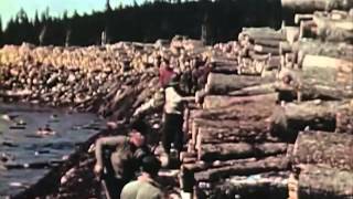 1950s Sawmill Workers Educational Documentary  Timber In The Northeast  CharlieDeanArchives [upl. by Rothschild]