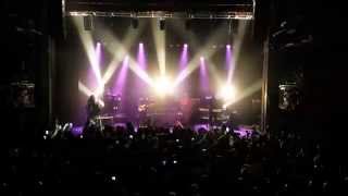 Tarrus Riley Live Trianon PARIS 2014 [upl. by Nirad878]