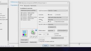 Instalar Perfil de color y configuración de impresora EPSON para Sublimación [upl. by Spieler]
