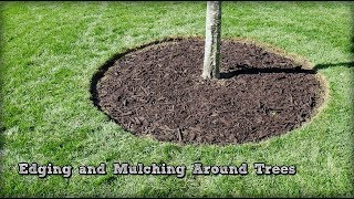 Edging and Mulching Around Trees  How To Redefine An Edge [upl. by Hallee]