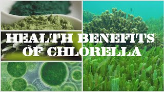 Health Benefits Of Chlorella [upl. by Aliber]