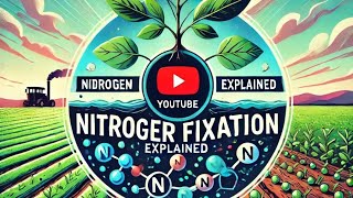 Nitrogen fixation nitrogen fixation ke factnitrogenfixation [upl. by Ynnek]