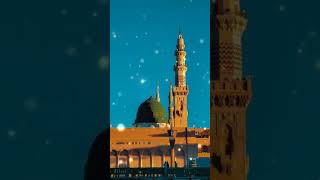 Naat e Rasool ص [upl. by Savell]