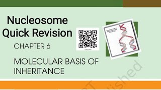 Nucleosome Model Quick Revision [upl. by Tamarra928]