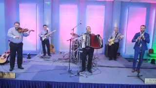 Grupa Cardak  Piperkovo oro Live 2016 [upl. by Thomson156]