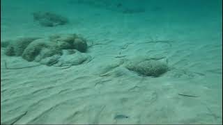 Spiaggia Liscia Ruja Sardinia [upl. by Hedy480]