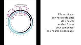 Décalage horaire et anticoagulant AVK  la roue horaire du Créatif [upl. by Bencion]