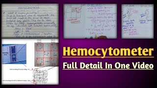 Hemocytometer  hemocytometer rbc count  calculation in neubaur chamber [upl. by Adniral933]