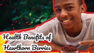 Find Out What The Health Benefits of Hawthorn Berries are [upl. by Shane]