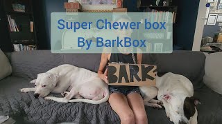 Super Chewer box By BarkBox  Our Dog Box Series [upl. by Nahpos]