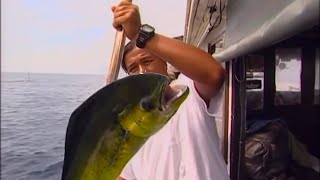 Malaysia Fishing Trip  Documentary [upl. by Alemaj]