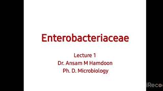 Lec1  part 1 Enterobacteriaceae DrAnsam and DrWaleed  Microbiology [upl. by Ahsek]