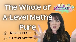 The Whole of A Level Maths  Pure  Revision for AQA Edexcel OCR AND WJEC [upl. by Adner640]