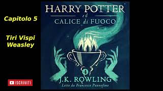 Harry Potter e il Calice di fuoco Audiolibro Italiano letto da Francesco Pannofino Capitolo 5 [upl. by Buttaro]