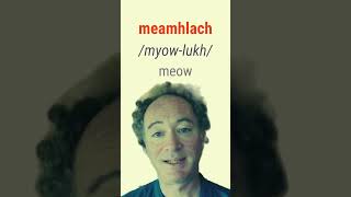 How to say Meow in Irish bitesizeirish [upl. by Asil]