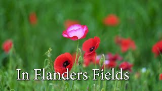 In Flanders Fields [upl. by Bathulda]