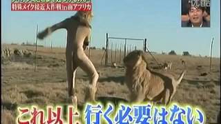 Lion Japanese Prank Disguise [upl. by Orlene593]