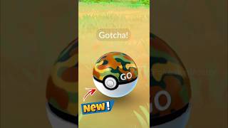 1st time Using SAFARI BALL in Pokemon GO [upl. by Tnomad570]