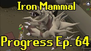 Oldschool Runescape  2007 Iron Man Progress Ep 64  Iron Mammal [upl. by Inavihs233]