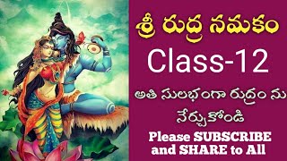 How To Learn Sri Rudram  Namakam  Rudradhyayi  class12  SVBP [upl. by Collete]