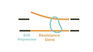 ResiSense Mechanism Overview [upl. by Ayahs]