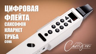 Цифровая флейта труба саксофон кларнет Carryon Digital Wind Instrument [upl. by Enrobyalc]