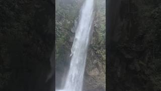 chakrata tigerwaterfall travel trip enjoy mountains jharna [upl. by Guntar990]