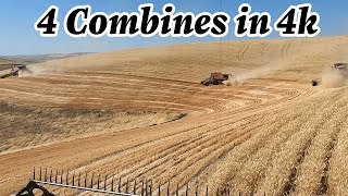 Four Combines Cut Steep Land [upl. by Mohamed]