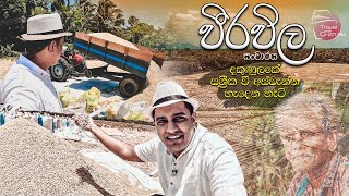 අටකොටු පිරුණු දකුණුලක සංචාරය  Travel With Chatura [upl. by Nelrah]