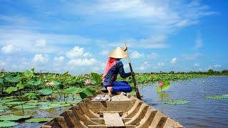 Enjoy a traditional song from AmaWaterways Mekong River Cruise Mangers [upl. by Nemrak200]