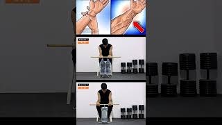 Best Forearms Workout 🔥 أفضل تمارين السواعد [upl. by Ayila]