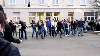 Lycée Le Verrier Flash Mob Michael Jackson [upl. by Bowe43]