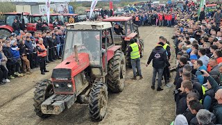 Ursus 385 Kostić šampion No1 vs Zetor Crystal 8045 traktorijada Srbac 2024 [upl. by Rodama137]