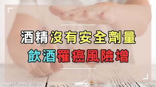 酒精沒有安全劑量 飲酒罹癌風險增｜好心肝˙好健康 [upl. by Ihtraa]