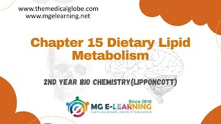 Chapter 15 Dietary Lipid Metabolism Lipid Metabolism Lippincott [upl. by Nicolais931]