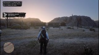 Red Dead Redemption 2 Wild Feverfew Location [upl. by Esimaj]