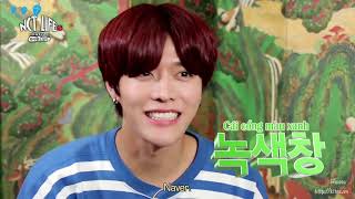 Vietsub NCT LIFE ss4 Korean Cuisine Challenge E03 [upl. by Lawrenson]