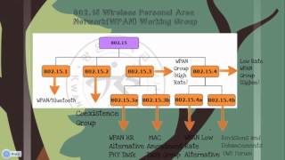 IEEE 802 Wireless Standards [upl. by Whitcher]