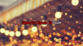 Senorita Remix Karaoke With LyricsZindagi Na Milegi Dobara [upl. by Duer457]